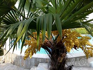 image_23