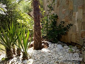 image_40