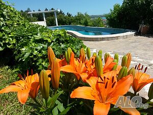 image_44