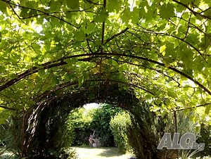 image_48