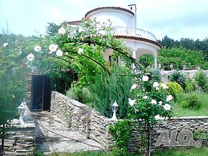 image_51
