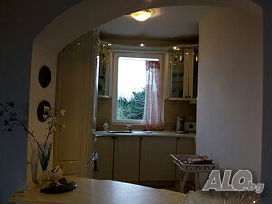 image_81