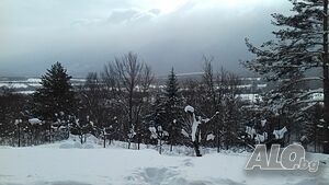 image_13