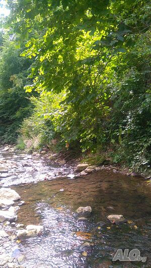 image_23