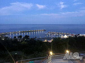image_6