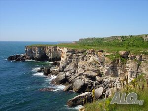 image_8