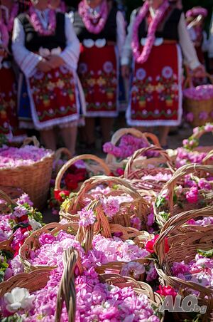 image_33