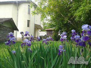 image_2