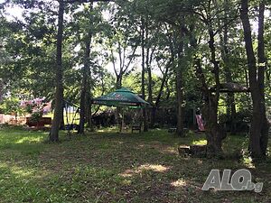 image_13