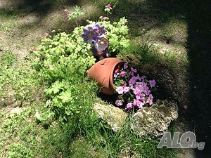 image_11