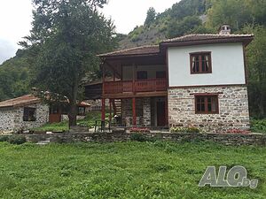image_19