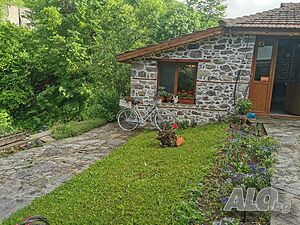 image_29