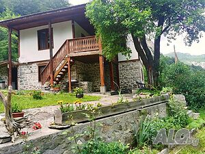 image_31