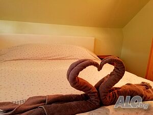 image_15