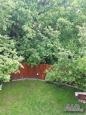 image_19
