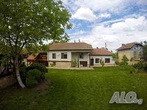image_5