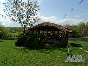image_9