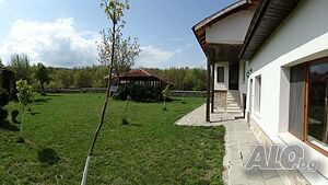 image_12