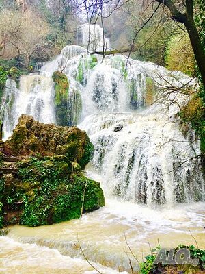 image_30