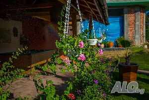 image_13
