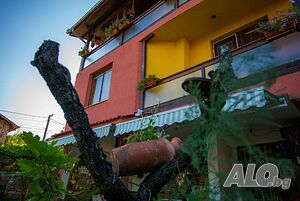 image_16