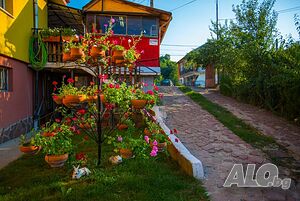 image_18