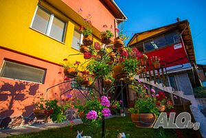 image_19