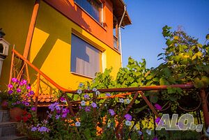 image_29