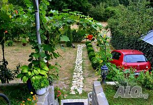 image_38