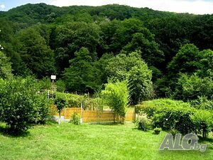image_39