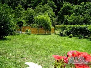 image_40
