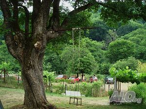 image_41
