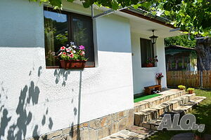 image_46