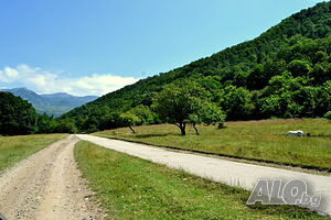 image_30