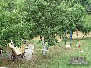 image_8