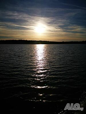image_46