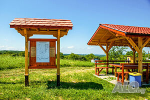 image_85