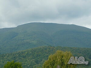 image_39