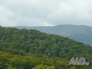 image_40