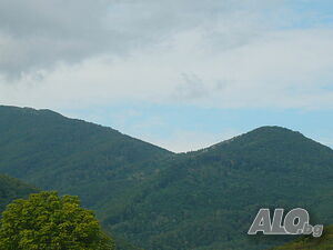 image_41