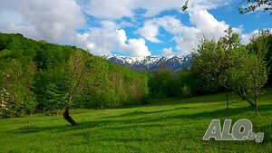 image_38