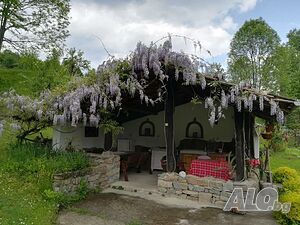 image_19