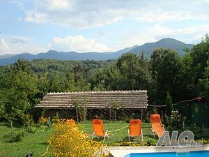 image_11