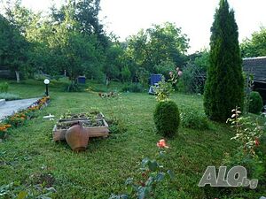 image_12