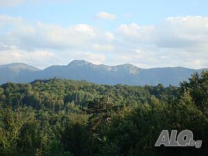 image_15