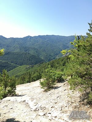 image_14