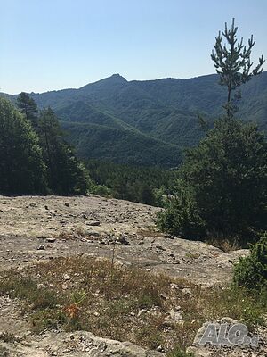 image_15
