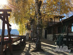 image_17