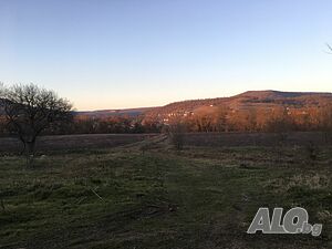 image_23