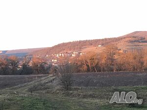 image_22